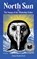 North Sun, Ethan Rutherford - Paperback - 9781646053582