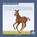 Baby Horses, Nick Rebman - Gebonden - 9781646194766