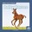 Baby Horses, Nick Rebman - Paperback - 9781646195039