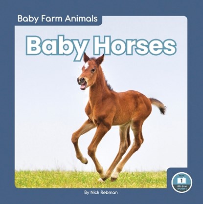 Baby Horses, Nick Rebman - Paperback - 9781646195039