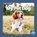 My Pet Dog, Brienna Rossiter - Paperback - 9781646196135