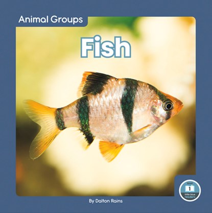 Fish, Dalton Rains - Gebonden - 9781646198085