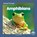 Amphibians, Dalton Rains - Paperback - 9781646198351