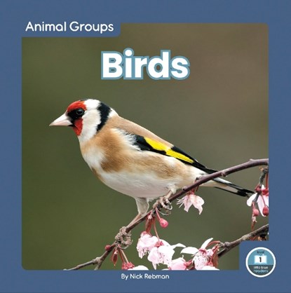 Animal Groups: Birds, Nick Rebman - Paperback - 9781646198368