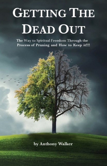 Getting The Dead Out, Anthony Walker - Paperback - 9781646200238