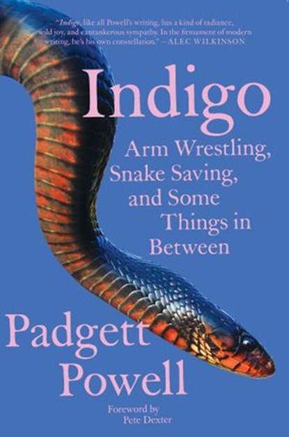 Indigo, Padgett Powell - Ebook - 9781646220069