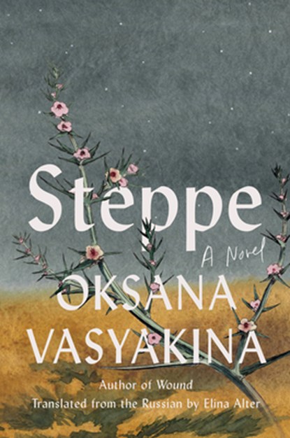 Steppe, Oksana Vasyakina ; Elina Alter - Gebonden - 9781646223077