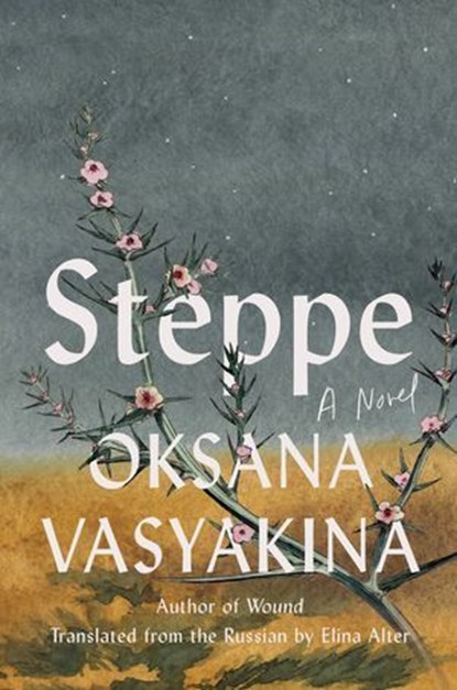 Steppe, Oksana Vasyakina - Ebook - 9781646223084