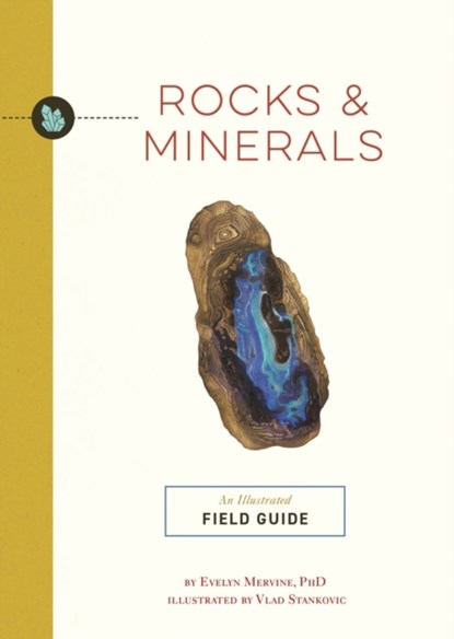 Rocks and Minerals, Evelyn Mervine - Paperback - 9781646434510