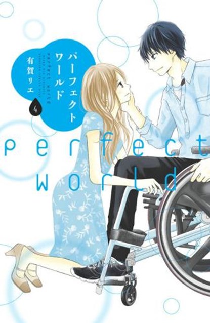 Perfect World 4, Rie Aruga - Paperback - 9781646510580