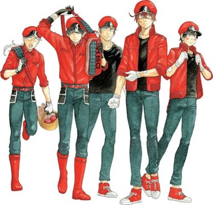 Cells at Work! CODE BLACK 6, Shigemitsu Harada - Paperback - 9781646511495