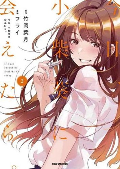 Chasing After Aoi Koshiba 2, Hazuki Takeoka - Paperback - 9781646511884