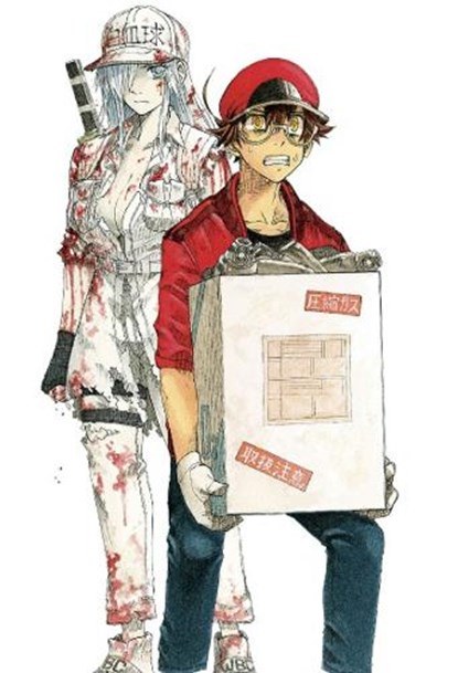 Cells at Work! CODE BLACK 8, Shigemitsu Harada - Paperback - 9781646512201