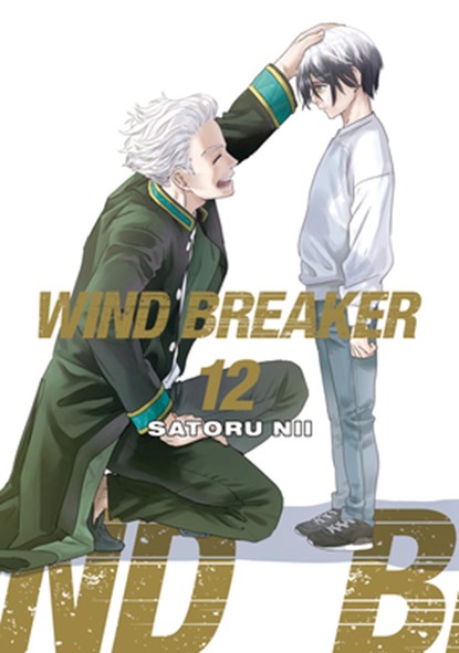 WIND BREAKER 12, Satoru Nii - Paperback - 9781646519590