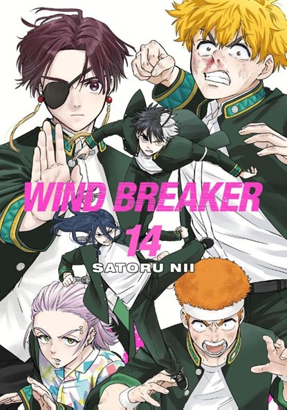 WIND BREAKER 14, Satoru Nii - Paperback - 9781646519613