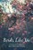 Birds Like Me, Joan Drescher Cooper - Paperback - 9781646620494
