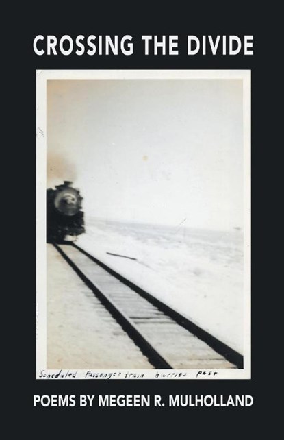 Crossing the Divide, Megeen R. Mulholland - Paperback - 9781646626823