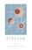 STELLAR, Esther Lim Palmer - Paperback - 9781646627141