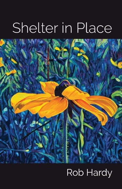 Shelter in Place, Rob Hardy - Paperback - 9781646627677