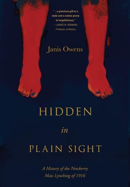 Hidden in Plain Sight, Janis Owens - Gebonden - 9781646633708