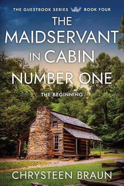 The Maidservant in Cabin Number One, Chrysteen Braun - Paperback - 9781647048075