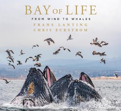Bay of Life, Frans Lanting ; Chris Eckstrom - Gebonden - 9781647221430