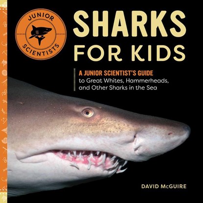 Sharks for Kids, David Mcguire - Paperback - 9781647397579