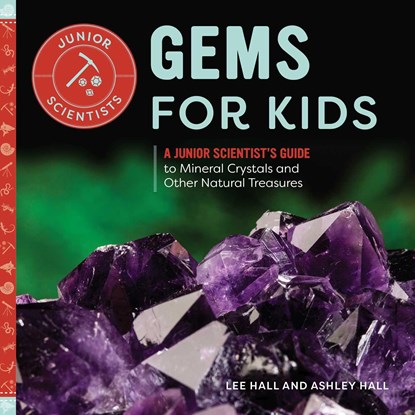 Gems for Kids, Ashley Hall ;  Lee Hall - Paperback - 9781647399917