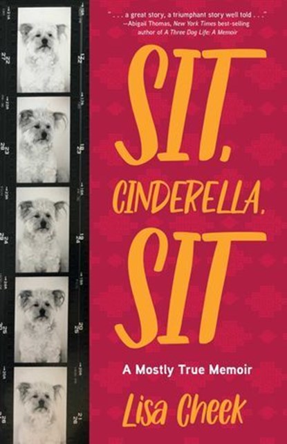 Sit, Cinderella, Sit, Lisa Cheek - Ebook - 9781647427290