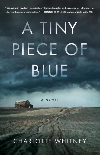 A Tiny Piece of Blue, Charlotte Whitney - Paperback - 9781647428365