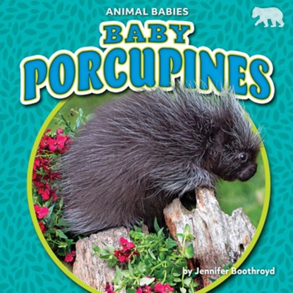 Baby Porcupines, Jennifer Boothroyd - Paperback - 9781647474799