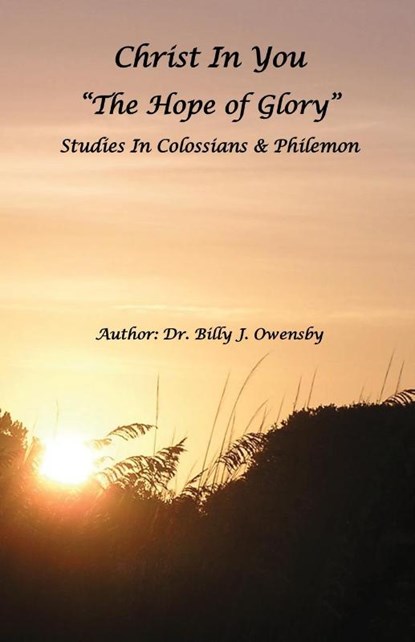 Christ In You, Dr Billy J Owensby - Paperback - 9781647494735