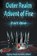 Outer Realm, Abdul-Azeez Ayodele Azeez - Paperback - 9781647499068