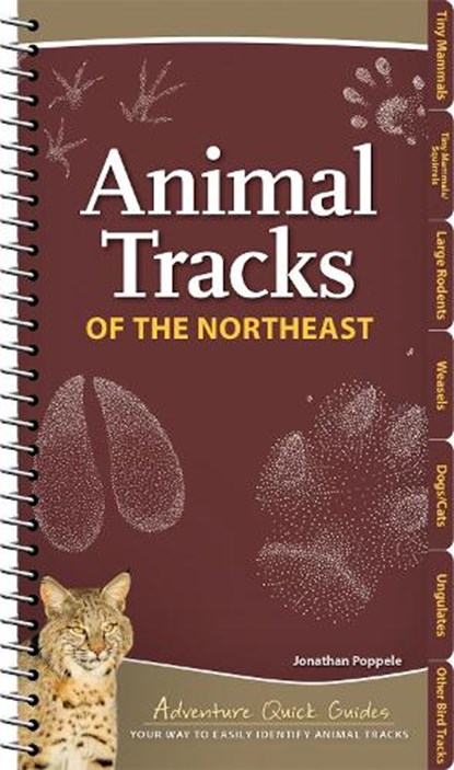 Animal Tracks of the Northeast, Jonathan Poppele - Gebonden - 9781647550769