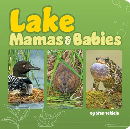 Lake Mamas and Babies, Stan Tekiela - Gebonden - 9781647553616
