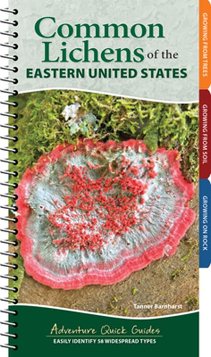 Common Lichens of the Eastern United States, Tanner Barnharst - Gebonden - 9781647556006