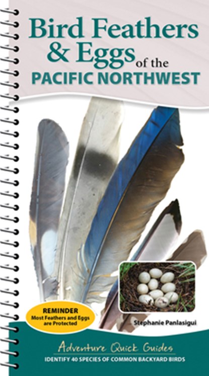 Bird Feathers & Eggs of the Pacific Northwest, Stephanie Panlasigui - Gebonden - 9781647556648