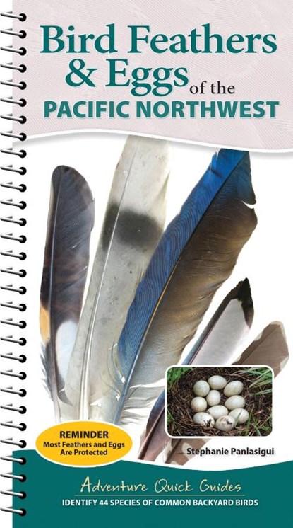 Bird Feathers & Eggs of the Pacific Northwest, Stephanie Panlasigui - Gebonden - 9781647556648