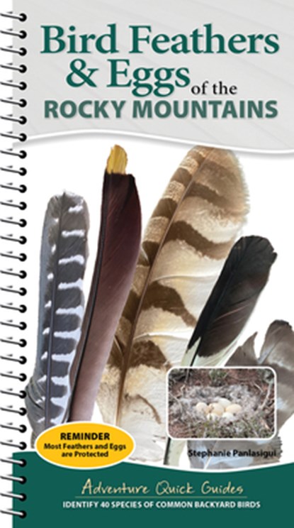 Bird Feathers & Eggs of the Rocky Mountains, Stephanie Panlasigui - Gebonden - 9781647556655