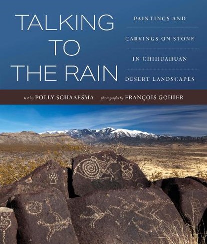 Talking to the Rain, Polly Schaafsma - Gebonden - 9781647692308