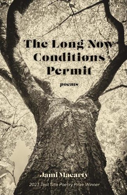 The Long Now Conditions Permit, Jami Macarty - Paperback - 9781647792039