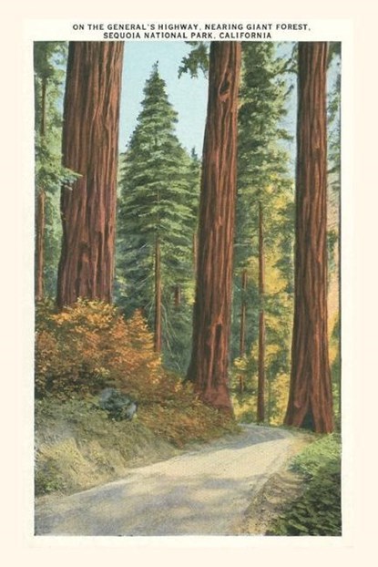 The Vintage Journal Sequoia National Park, Found Image Press - Paperback - 9781648116872