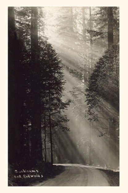 Vintage Journal Sunbeams and Redwoods, Found Image Press - Paperback - 9781648117992