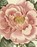 John Derian Picture Book II, John Derian - Gebonden - 9781648294167