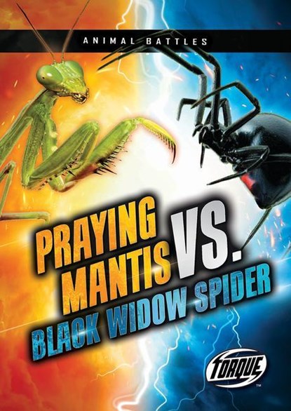 Downs, K: Praying Mantis vs. Black Widow Spider, Kieran Downs - Paperback - 9781648346880