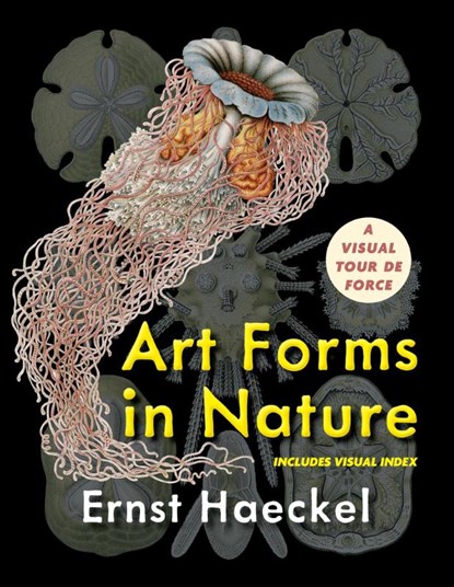 Art Forms in Nature (Dover Pictorial Archive), Ernst Haeckel - Gebonden - 9781648371851