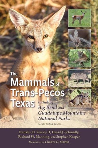 The Mammals of Trans-Pecos Texas: Including Big Bend and Guadalupe Mountains National Parks, Franklin D. Yancey - Paperback - 9781648430244