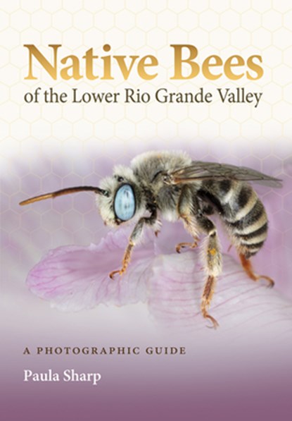 Native Bees of the Lower Rio Grande Valley: A Photographic Guide, Paula Sharp - Paperback - 9781648432002