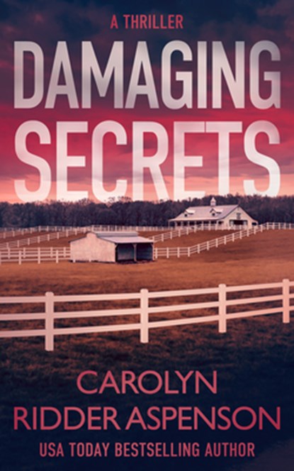 Damaging Secrets, Carolyn Ridder Aspenson - Paperback - 9781648754340