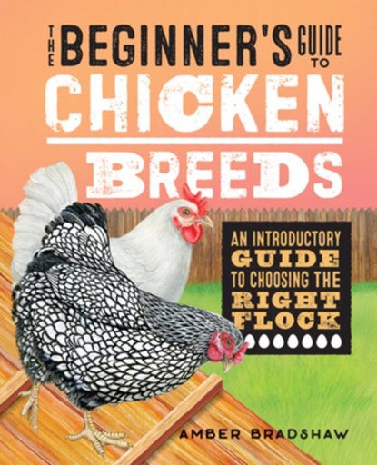 BEGINNERS GT CHICKEN BREEDS, Amber Bradshaw - Paperback - 9781648766756